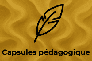 miniature_capsule_pedagogique